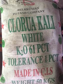 KCL-Kali Clorua-Potassium Chloride hóa chất biên hòa đồng nai
