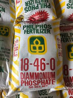Di ammonium Phosphate (NH4)2HPO4-DAP hoá chất biên hoà đồng nai