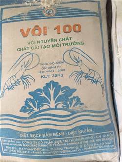 Vôi 100-Cao