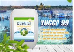 Yucca Nước Biên hòa ,Đồng Nai
