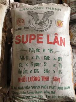 Supe Lân Bột long thành